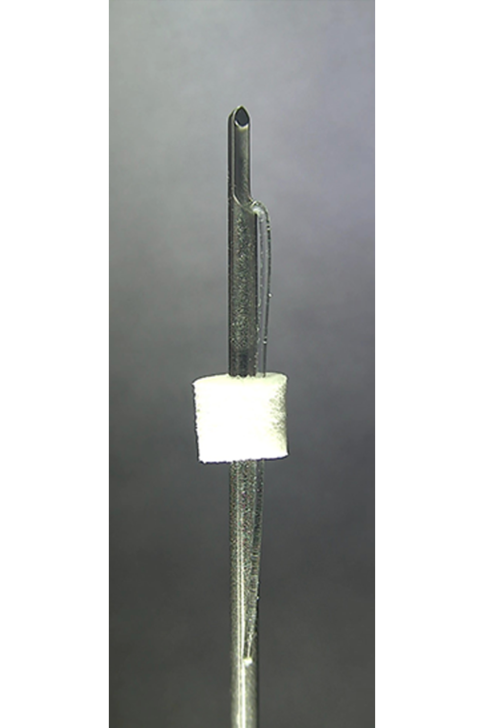 ETENNA NOVA CAVE PCL-COG-B 20EA