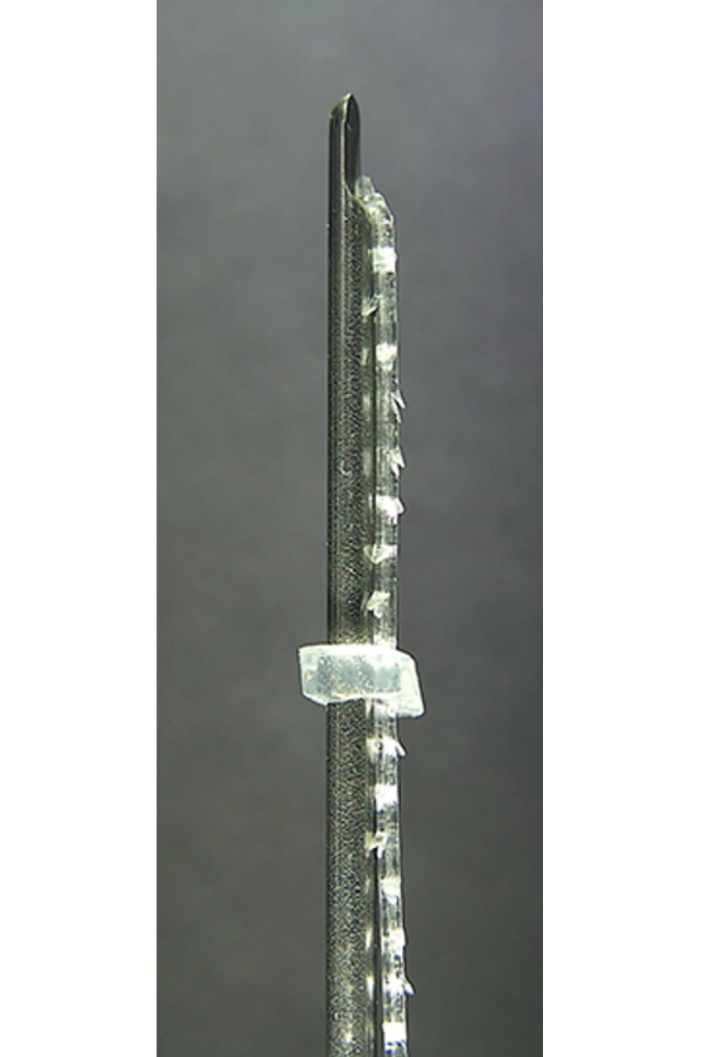 ETENNA NOVA CAVE PLCL-COG-N 20EA
