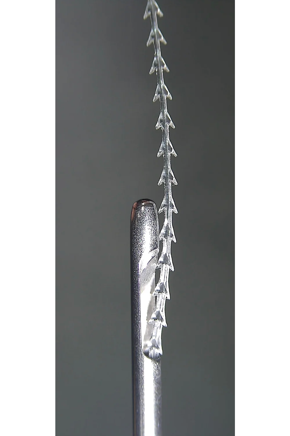 ETENNA NOVA CAVE PLCL-MOLD-B 20EA