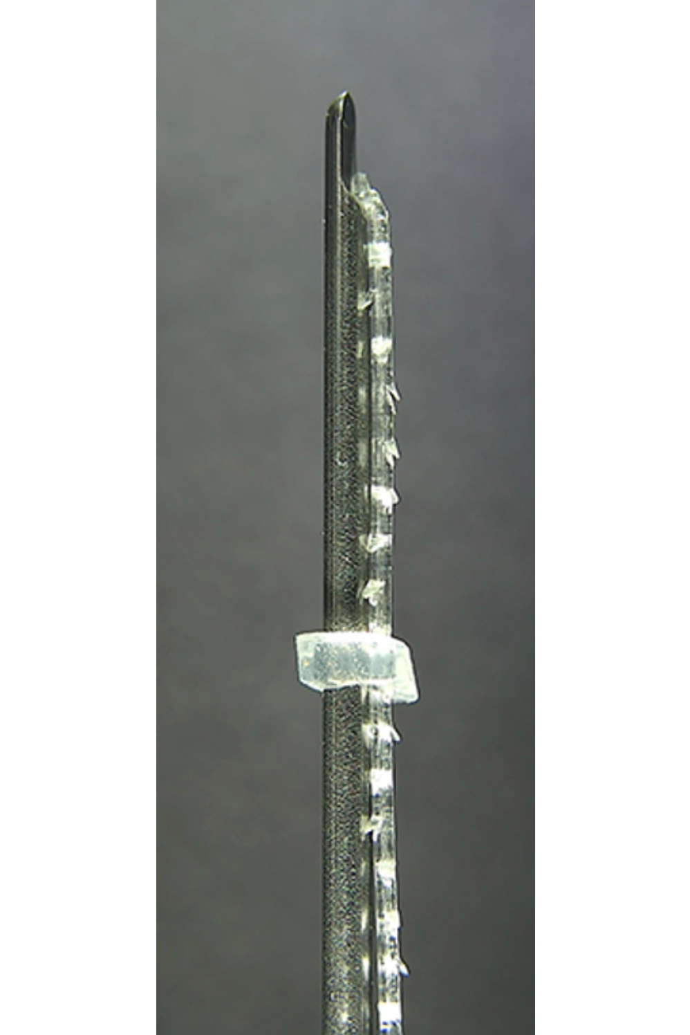 ETENNA NOVA CAVE PCL-COG-N 20EA