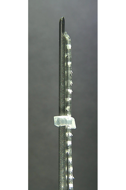 ETENNA NOVA CAVE PLCL-COG-N 20EA