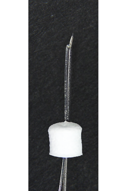 ETENNA NOVA CAVE PLCL-MONO 20EA